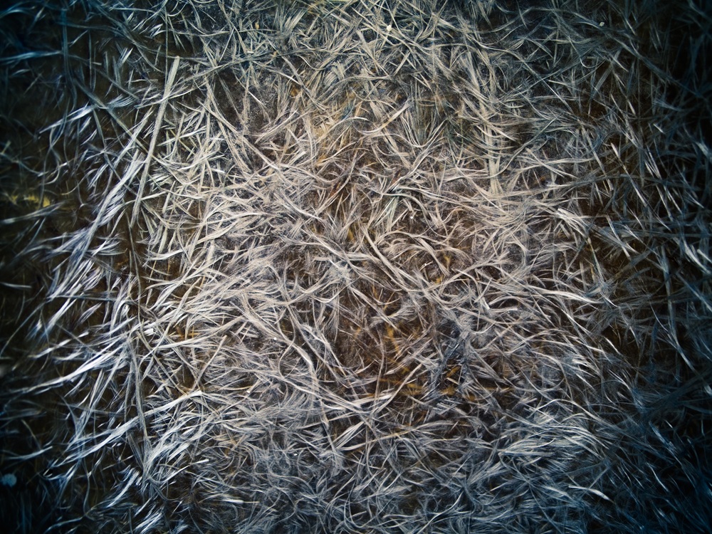 Fiberglass Product Testing