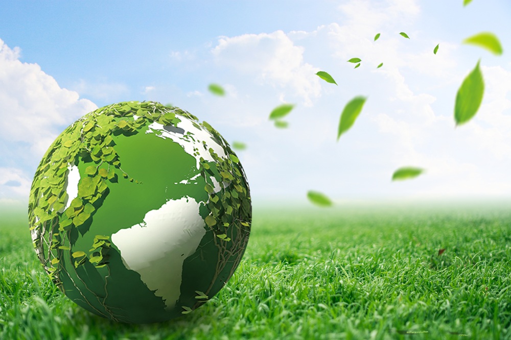 Life Cycle Assessment LCA Services